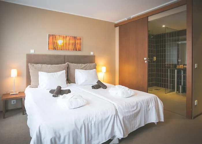 Hotel Johan Design & Spa Hotel 4*