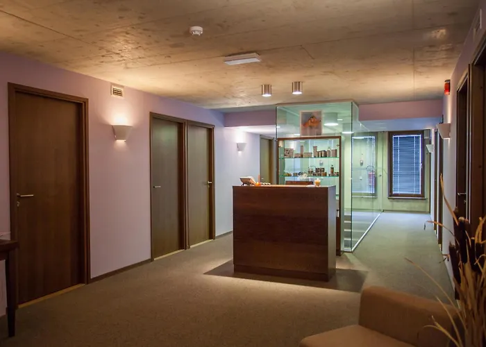 Johan Design & Spa Hotel 4*